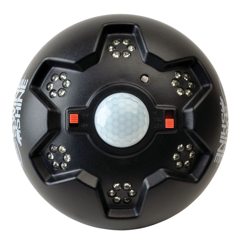 American Hunter Swine Shine Hog Light (AHHOGLITE)