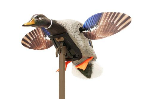Mojo Outdoors Elite Series Mini Mallard Drake (HW2470-3P)