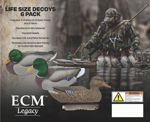 ECM Legacy Mallard Duck Decoy 6 Pack TSP-1006, 4 Drakes/2 Hens, Flocked Heads, Flexible EVA Material