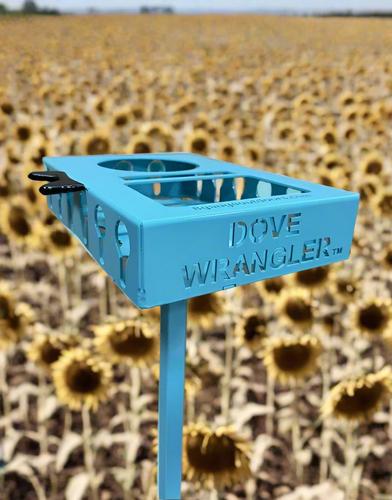 8 Gauge Outdoors Dove Wrangler Pro, Teal (DWPTEAL)