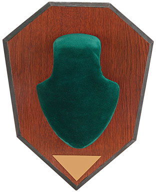 Allen 562 Antler Mounting Kit Green